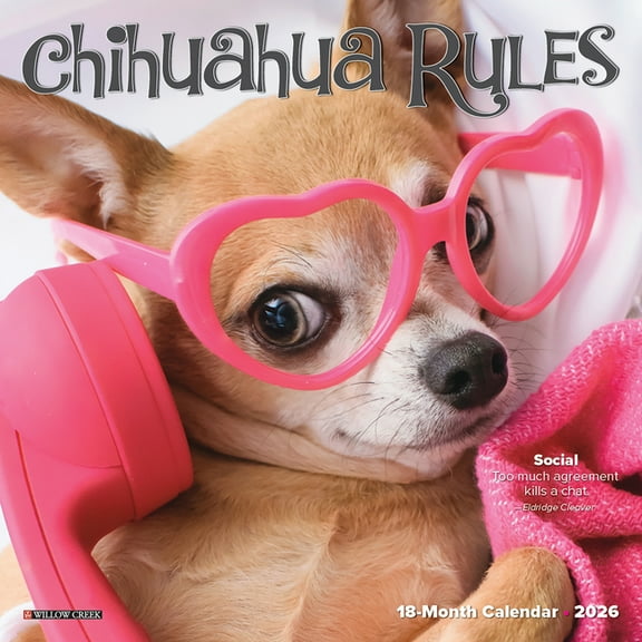 Chihuahua Rules 2026 Mini Wall Calendar, (Paperback)