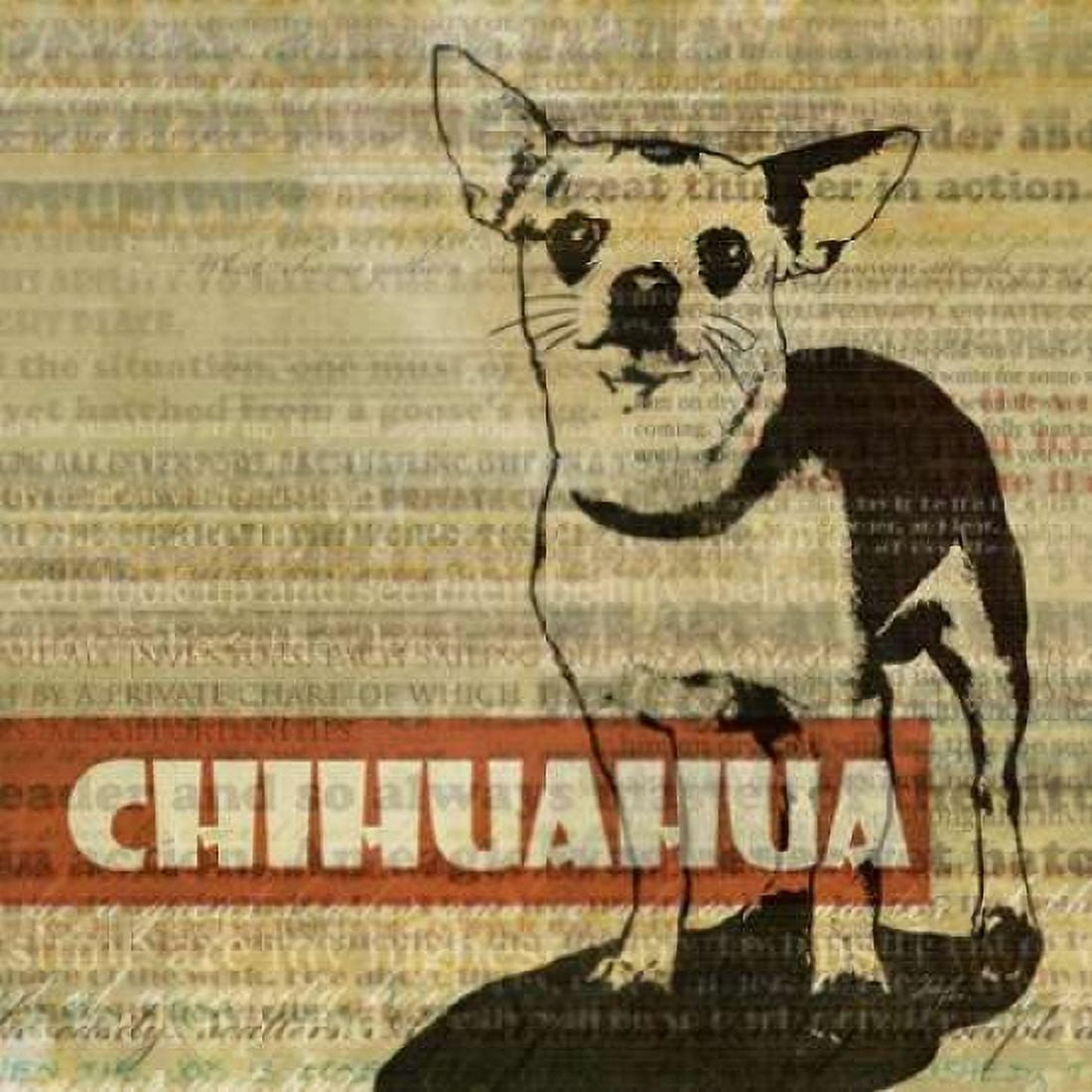 Chihuahua Sketch Canvas Art - Ken Roko (24 x 24)
