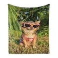 thumbnail image 1 of Chihuahua Soft Flannel Fleece Throw Blanket, Dog on Grass Wearing Sunglasses and Strappy Top Enjoying the Sun at Park, Cozy Plush for Indoor and Outdoor Use, 50" x 70", Multicolor, by Ambesonne, 1 of 6