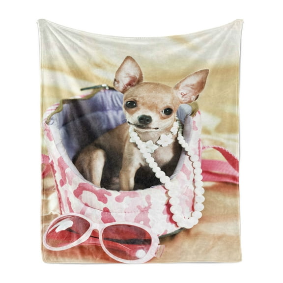 Chihuahua Soft Flannel Fleece Throw Blanket, Funny Photo of Sassy Fashion Dog Sitting in Its Small Bed with Pearl Necklace, Cozy Plush for Indoor and Outdoor Use, 70" x 90", Multicolor, by Ambesonne