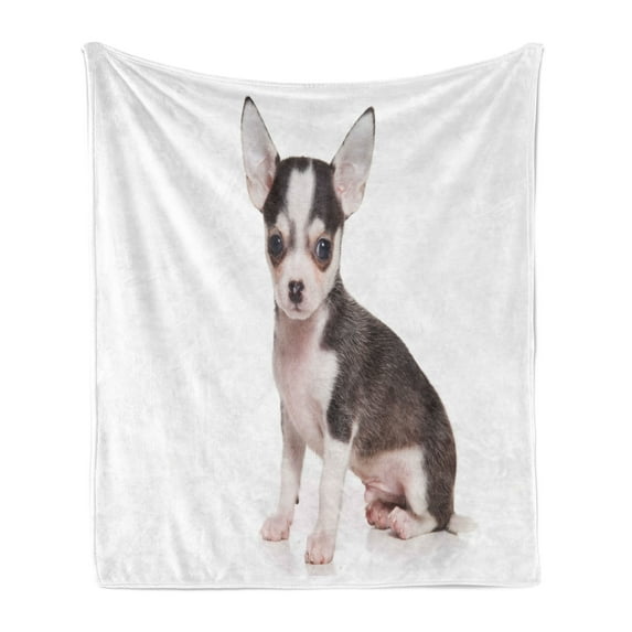 Chihuahua Soft Flannel Fleece Throw Blanket, Photo of Little Puppy Posing with Ears and Innocent Eyes, Cozy Plush for Indoor and Outdoor Use, 60" x 80", Pale Eggshell and Taupe, by Ambesonne