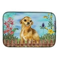 thumbnail image 1 of Chihuahua Spring Dish Drying Mat, 1 of 7