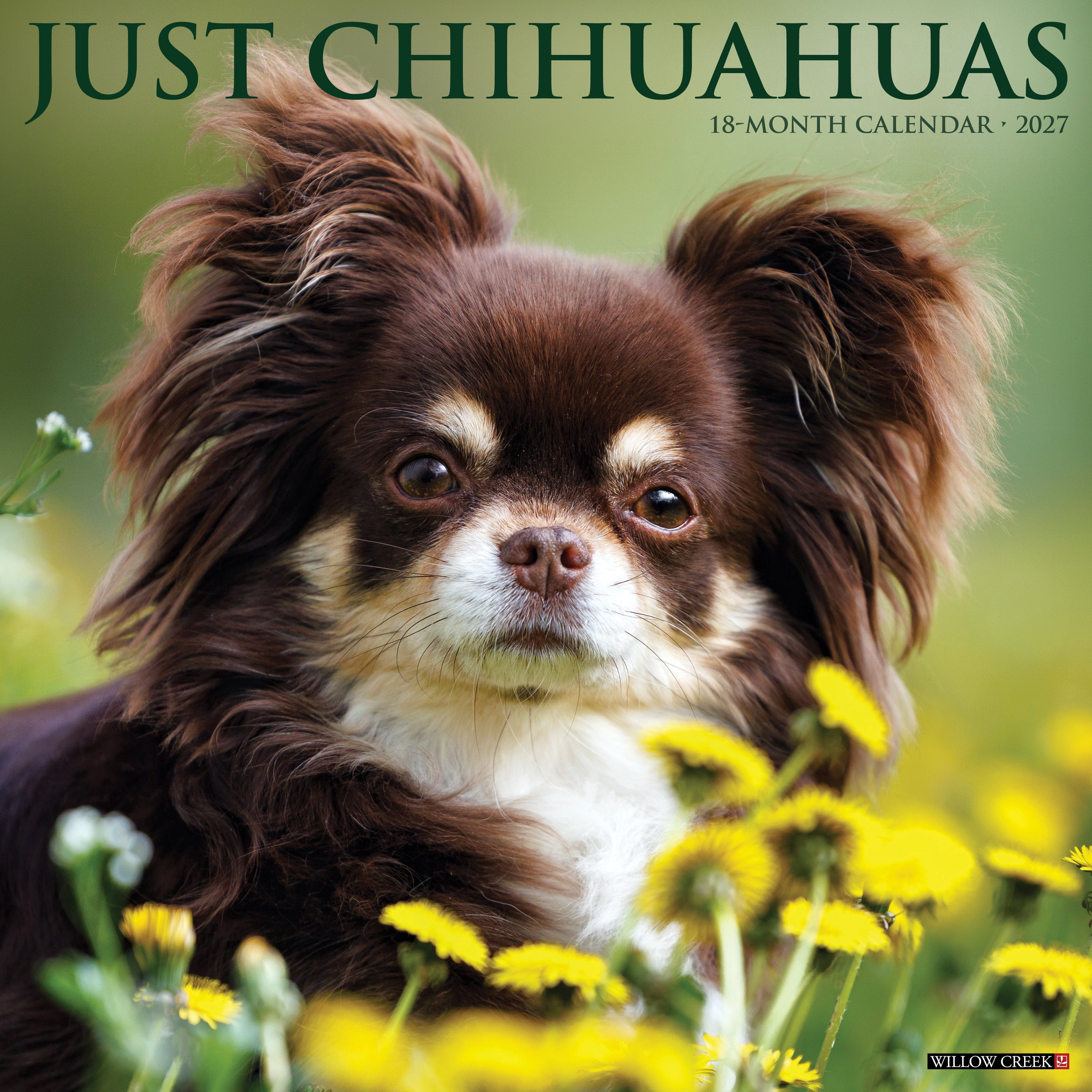 Willow Creek Press, Chihuahuas 2027 Wall Calendar