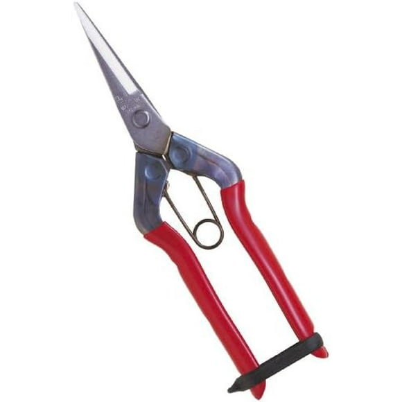 Chika masa stainless bud shears T-550S (japan import)