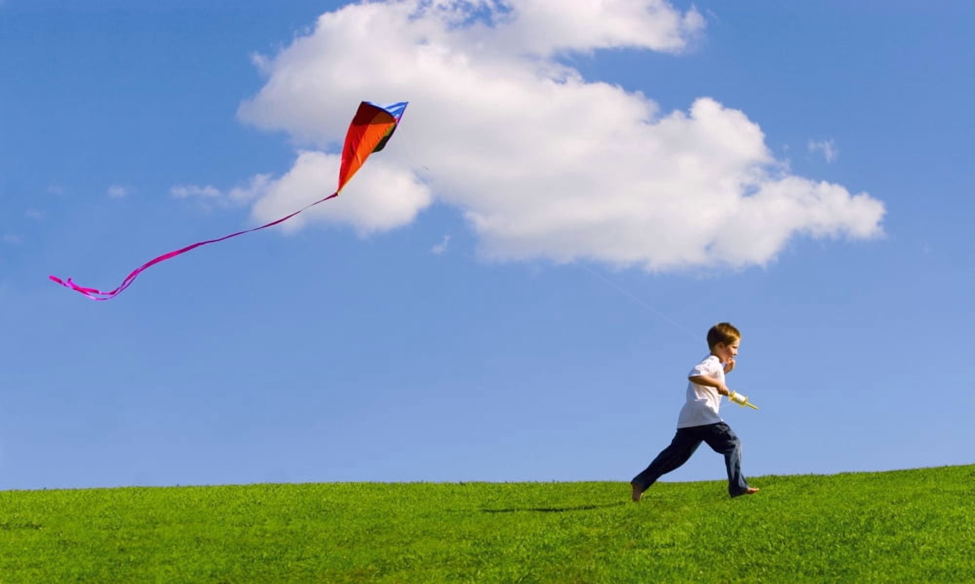 Child Flying A Kite Canvas Art - Don Hammond Design Pics (18 x 10)