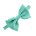 thumbnail image 1 of Child Gabardine Adjustable Pre-Tied Bow Tie - Aqua, 1 of 8