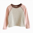 thumbnail image 1 of Child Girls Long Sleeve Shirts Soft & Cozy Pullover Tee Color Block Shirts for Girls Daily School Cute Tops Girls Shirts Size 3-4T, 1 of 7