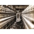 thumbnail image 1 of Child Laborer Portrayed By Lewis Hine In 1909. Little Spinner Who Regularly Worked In Cotton Mill In Augusta History (, 1 of 2