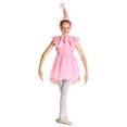 thumbnail image 1 of Child Munchkin Ballerina Costume, 1 of 2