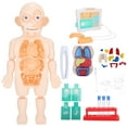 Child Organ Model Set Removable Human Torso Model Toy Set for Kids