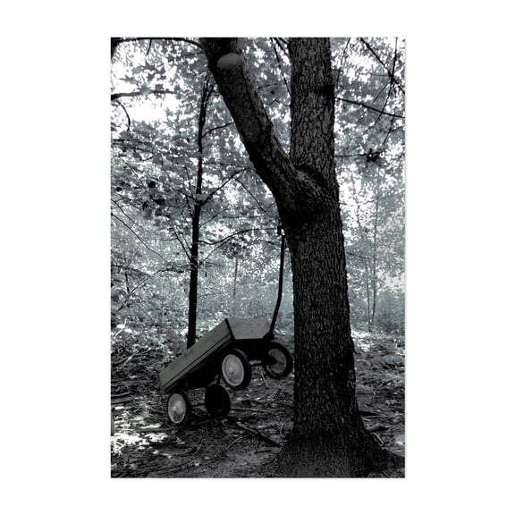 Child Recollections - New Jersey Photography Forest Abandoned Woodland Nature Vintage Moody Mystical Unframed Wall Art Print 4 x 6 inches