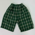 thumbnail image 1 of Child Toddler Boys Girls Casual Pants Summer Holiday Plaid Shorts 2025 NEW Boys Pants Green 3-4 Years, 1 of 6
