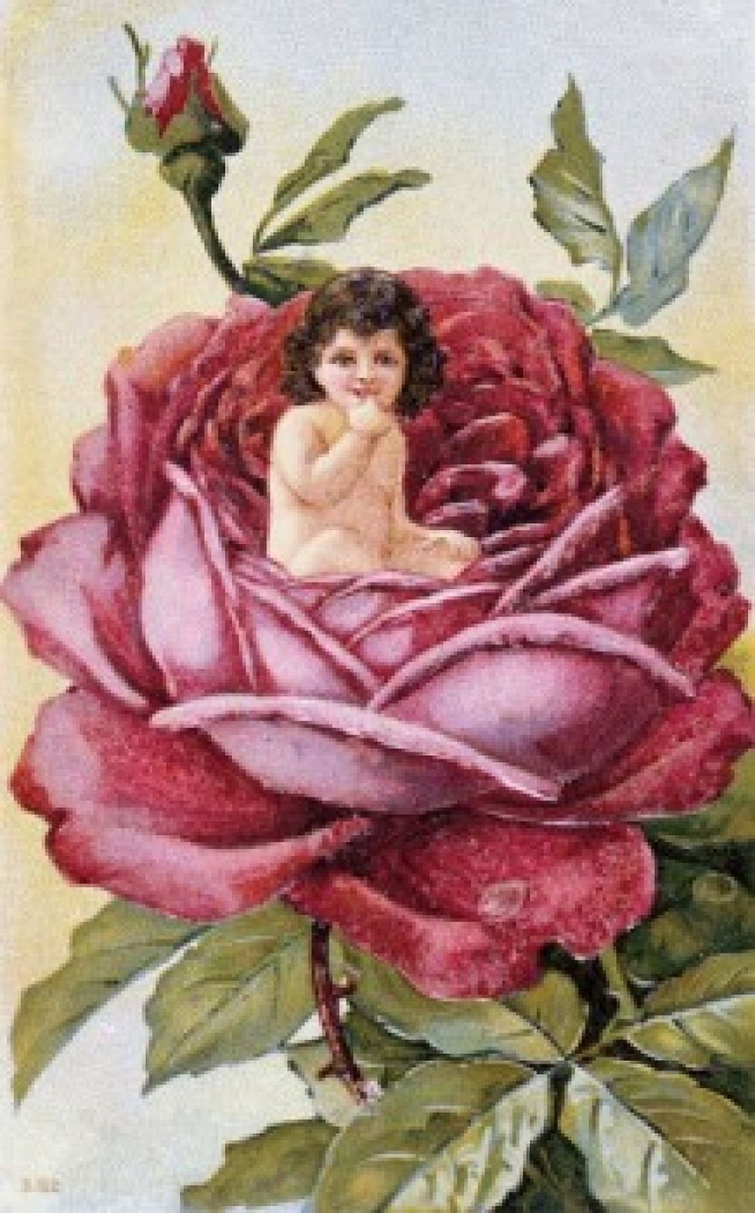 Child in a Rose Nostalgia Cards Canvas Art - (24 x 36)