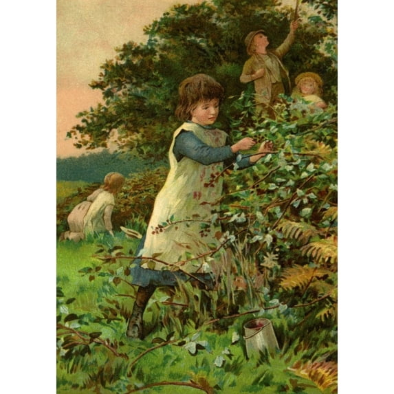 Children Blackberrying Poster Print By Mary Evanspeter & Dawn Cope Collection (18 X 24)