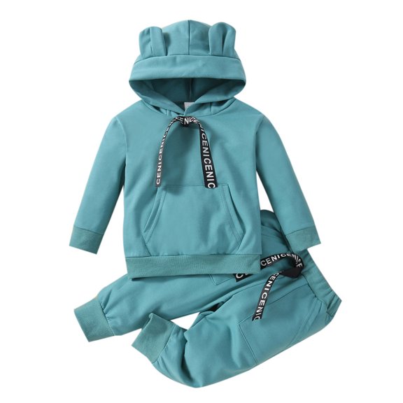 Children Kids Toddler Baby Girls Boys Long Sleeve Cute Animals Hoodie Sweatshirt Pullover Tops Cotton Trousers Pants Outfit Set 2PCS Clothes
