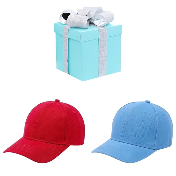 Children's Baseball Cap Christmas Gift Set-Moisture-Wicking Quick-Drying Sun Hat, for child Christmas Gift-Breathable Sports Hat, for Outdoor Activities,Beach(Include 2 Hat)
