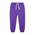 thumbnail image 1 of Children's Boys Girls Sweatpants Fleece Warm Soft Solid Color Pants Elastic Waist Drawstring Running Sports Daily Trousers Purple 7 Years, 1 of 3