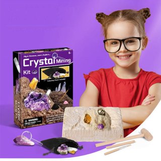 Buy Interesting Child Craft Digging Toys Mineral Stones Fool's Gold Dig It  Out Excavation Kit For Children Learning By Doing Product on