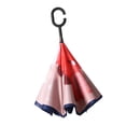 thumbnail image 1 of Children's Inverted Umbrella Riding Double Layer Stick Rain Umbrella Style D, 1 of 8