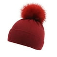 thumbnail image 1 of Children's Knitted Hat for Kids Winter Warm Knit Cap Boys and Girls Autumn Woolen Hat Kids Hats Caps 1, 1 of 3