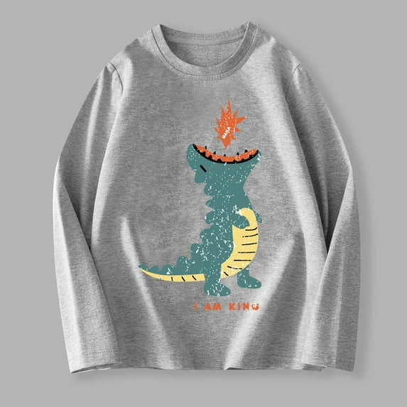 Children's Long Sleeved T-shirt Round Neck Top Boys Girls (2-12Y) - Dinosaur Print Comfortable Shirt for Everyday Activities, Limited Time Offer Under 10 Dollars