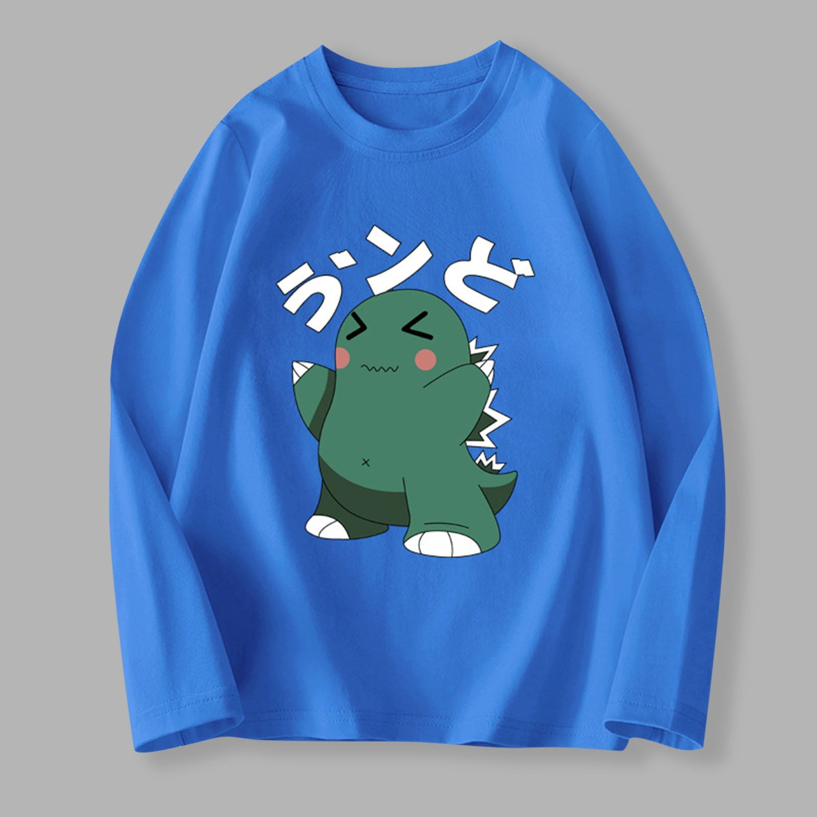 Children's Long Sleeved T-shirt Round Neck Top Boys Girls (2-12Y ...