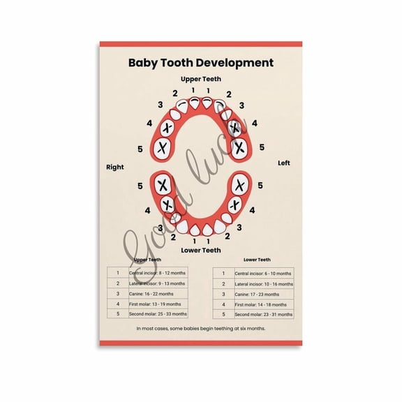 Children's Tooth Dental Chart Poster Dental Offices Education Wall Art (1) Canvas Painting Wall Art Poster for Bedroom Living Room Decor
