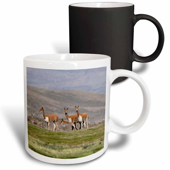 3drose, Chile, Arica, Lluta Valley, Vicuna. a Group of Wild Vicuna., 11oz Magic Transforming Mug