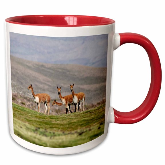 3drose, Chile, Arica, Lluta Valley, Vicuna. a Group of Wild Vicuna., 11oz Two-tone Red Mug