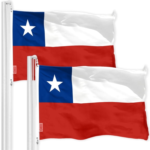 Chile Chilean Flag 3x5FT 2-Pack 150D Printed Polyester By G128