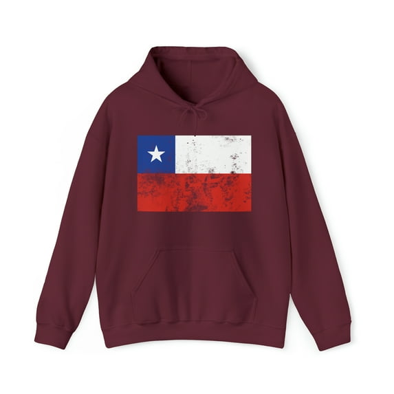 Chile Chilean Pride Flag Hoodie, Gifts, Hooded Sweatshirt
