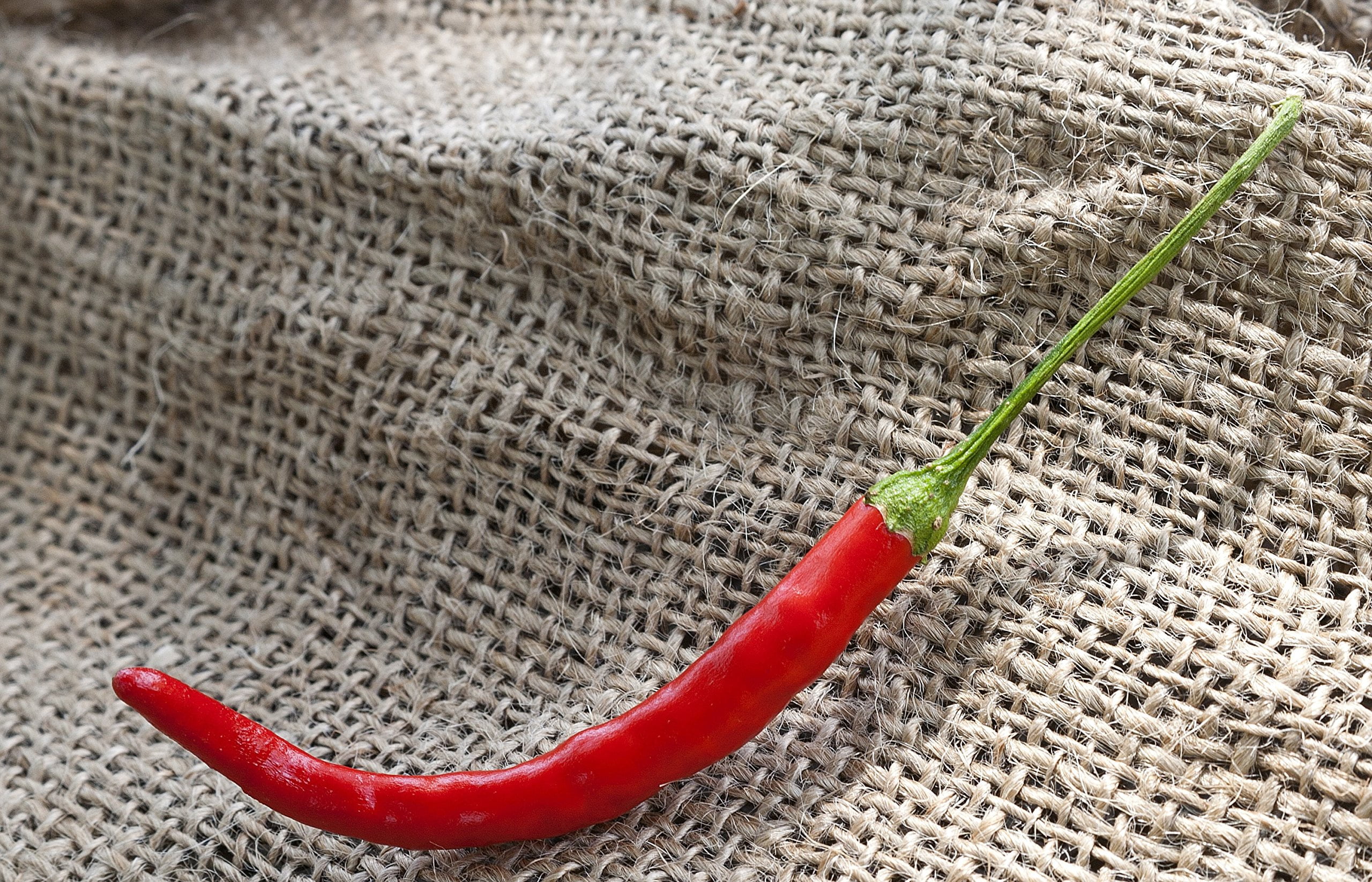 Chile De Arbol Tree MMF7 Chili Birds Beak Pepper Premium Seed Packet