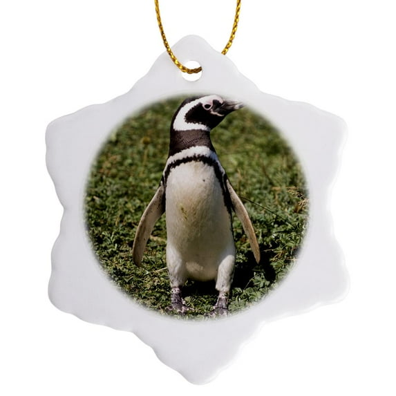 3drose, Chile, Seno Otway, Magellanic Penguin Colony - Sa05 Spi0089 - Sergio Pitamitz, 3 inch Snowflake Porcelain Ornament