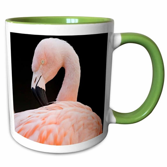 3drose, Chilean Flamingo, Tropical Bird - Sa05 Dsl0000 - David Slater, 15oz Two-tone Green Mug