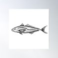 thumbnail image 1 of Chilean Horse Mackerel (Trachurus Murphyi) Poster Wall Art, Modern Wall Decor For Living Room Bedroom, 17x17 UNFRAMED, 1 of 3