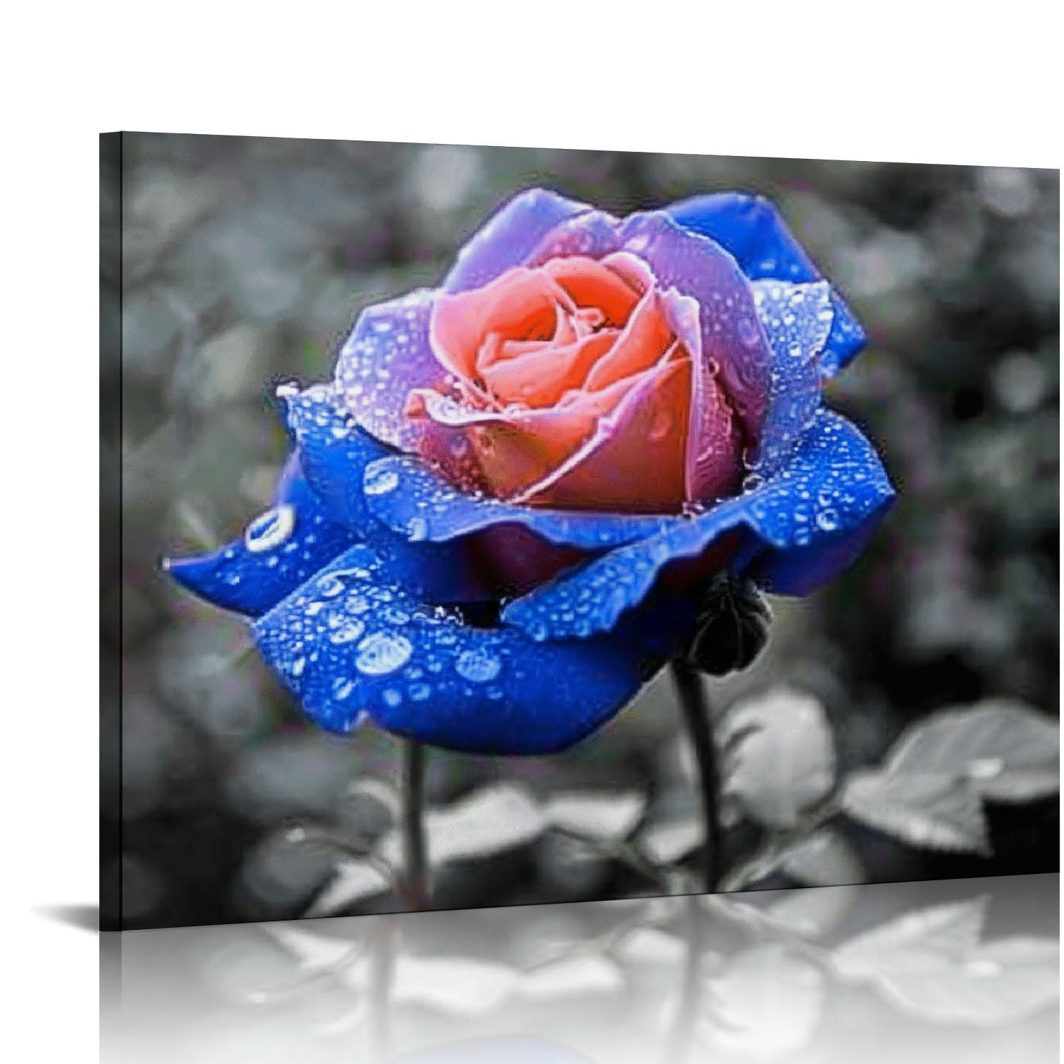 Chilfamy Blue Rose Canvas Wall Art Black and White Flowers Painting ...