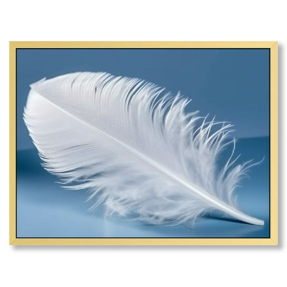 Chilfamy Framed Wall Art Ready to Hang Floating feather Canvas Print Artwork Wall Art Painting Pictures Home Office Wall Décor Modern Poster 16x12in/20x16in