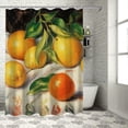 thumbnail image 1 of Chilfamy Fruits Table Cloth Impressionist Painting Pretty Shower Curtain Set 100% Polyester Fiber Washable Bathroom Shower Curtain with Hooks 69x72, 1 of 7