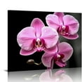 thumbnail image 1 of Chilfamy Orchid Print Canvas Wall Art Ready To Hang Home Decor 20x16in, 1 of 6