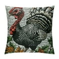 thumbnail image 1 of Chilfamy Throw Pillow Cover Eastern Wild Turkey Square Throw Pillow Cases，Wild Thanksgiving Bird Farm Agriculture Chicken Feather Poultry Rooster  Throw Cushion Covers for Couch Sofa White, 1 of 5