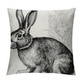 thumbnail image 1 of Chilfamy Vintage Farmhouse Animal Pillow Covers Retro Farmer's Market Truck Bunny Rabbit Feed Seed Premium Poultry Farm Home Décor Throw Pillow Case Cushion Cover for Sofa 20x20in, 1 of 5
