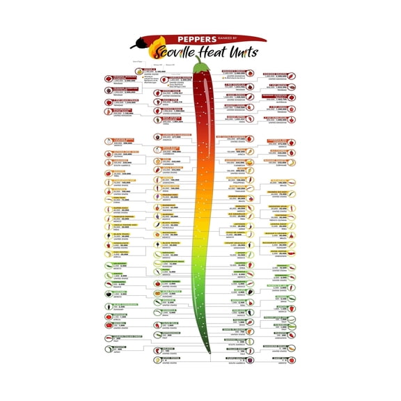 Chili Pepper Heat Scale Poster Scoville Units Chart and Pepper Knowledge Guide for Kitchen Wall Art Culinary Reference and Home Decor