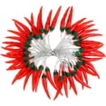 thumbnail image 1 of OUNONA Pepper String Lights for Indoor Decoration, Unique Design, Perfect for Parties and Home Decor, 1 of 7