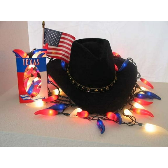 Chili pepper string lights - LED 50 lights - Memorial Day - Patriotic Style - July 4 - red, white, blue - made in AMERICA - Free Ship