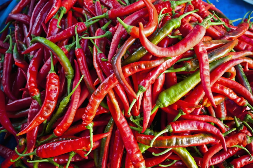 Chillies in local market Bandar Seri Begawan Darassalam Brunei Canvas Art - David Kirkland Design Pics (19 x 12)