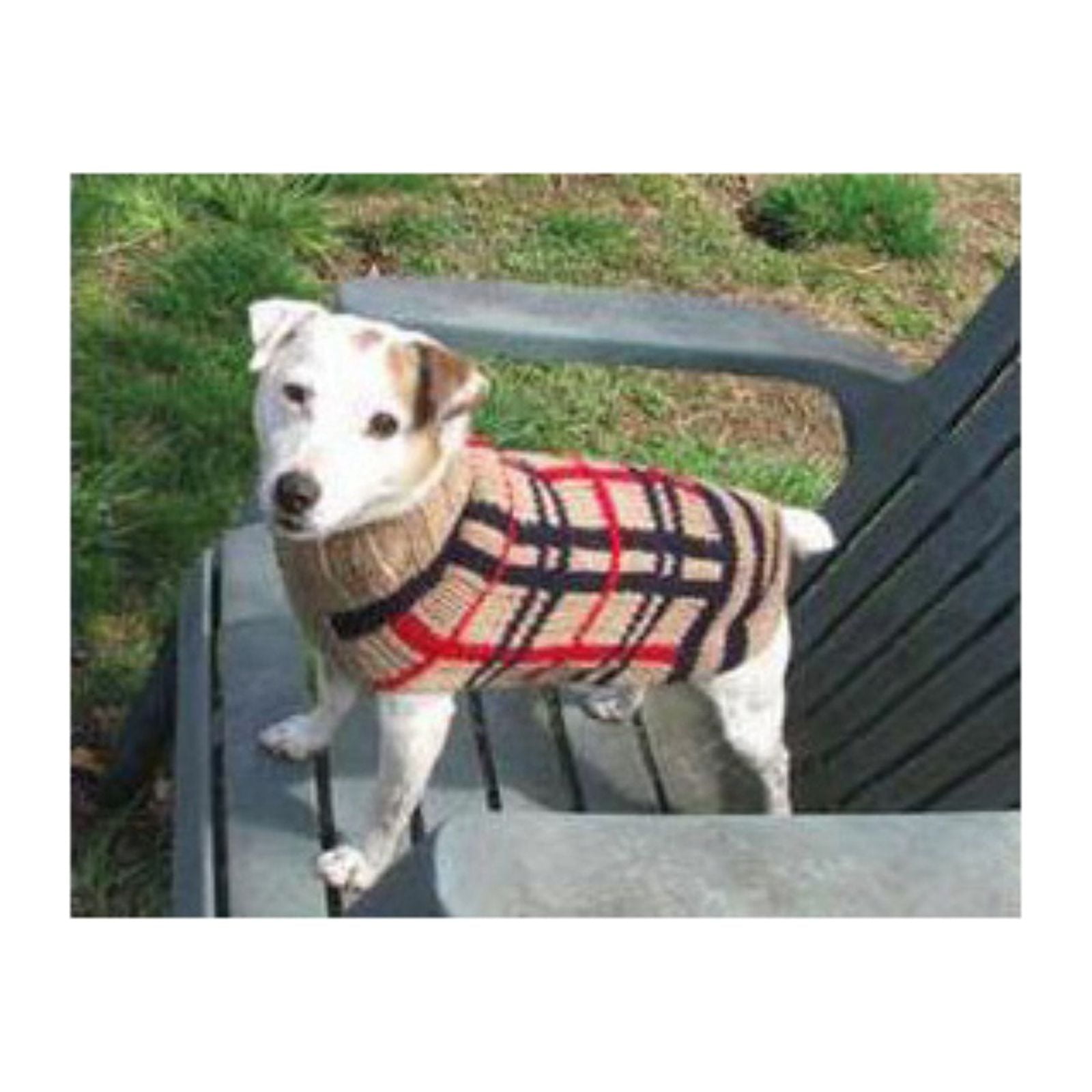 Chilly Dog Boyfriend Dog Sweater X-small Breed Red Plaid Blanket