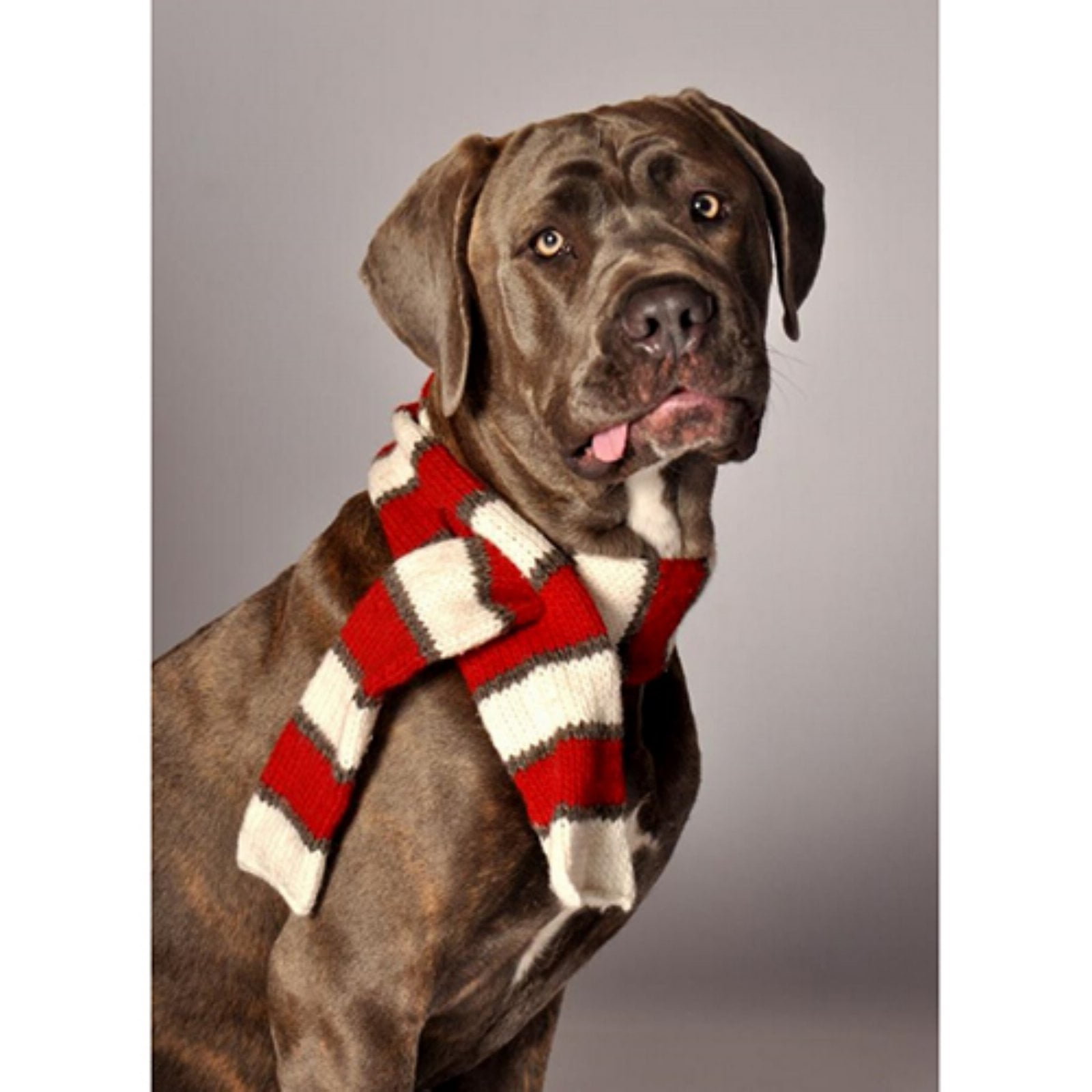 Red dog deals neckerchief