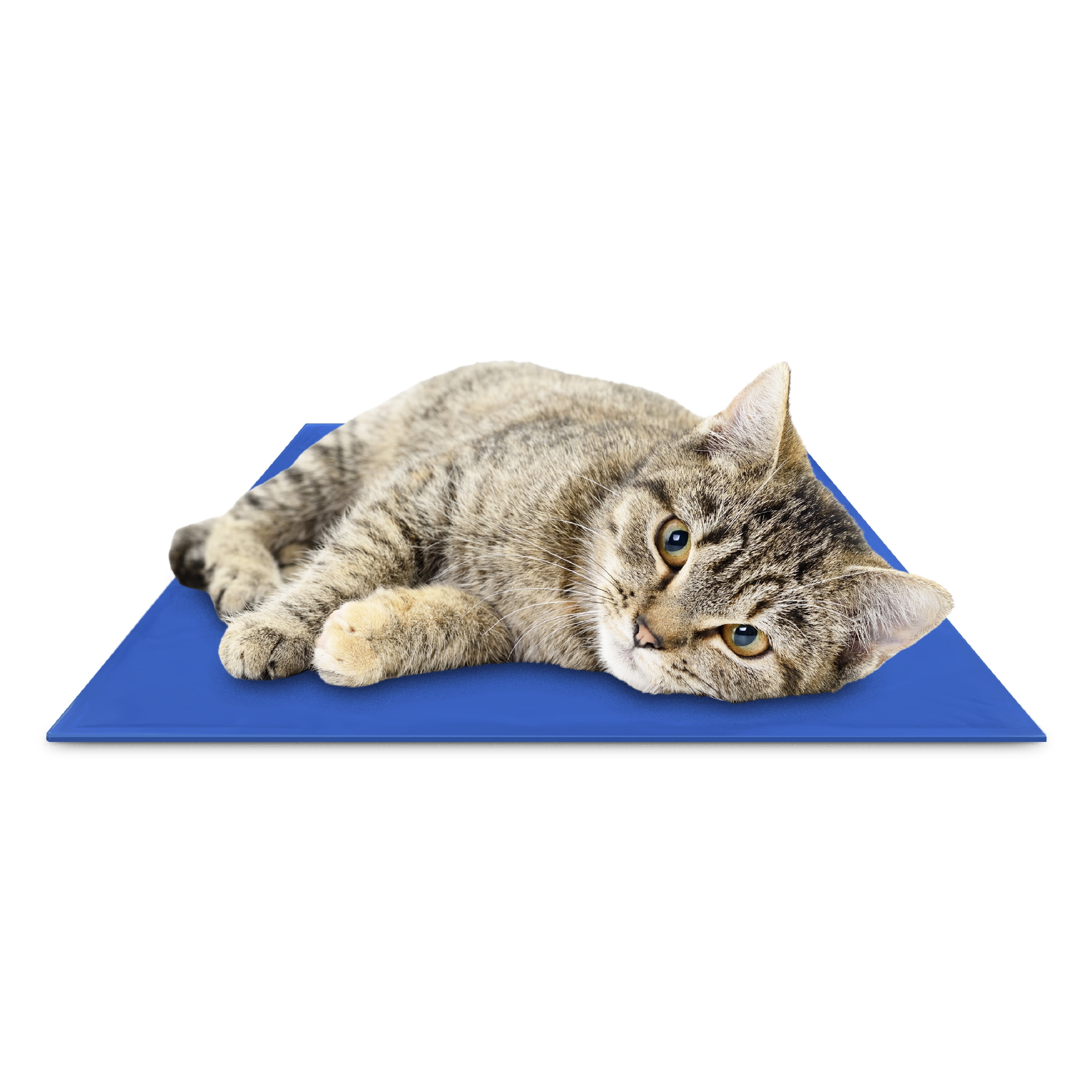 Chillz Cat Cooling Mat, Medium Size Cooling Mat for Cats, 19.5 x 15.7  inches - Walmart.com