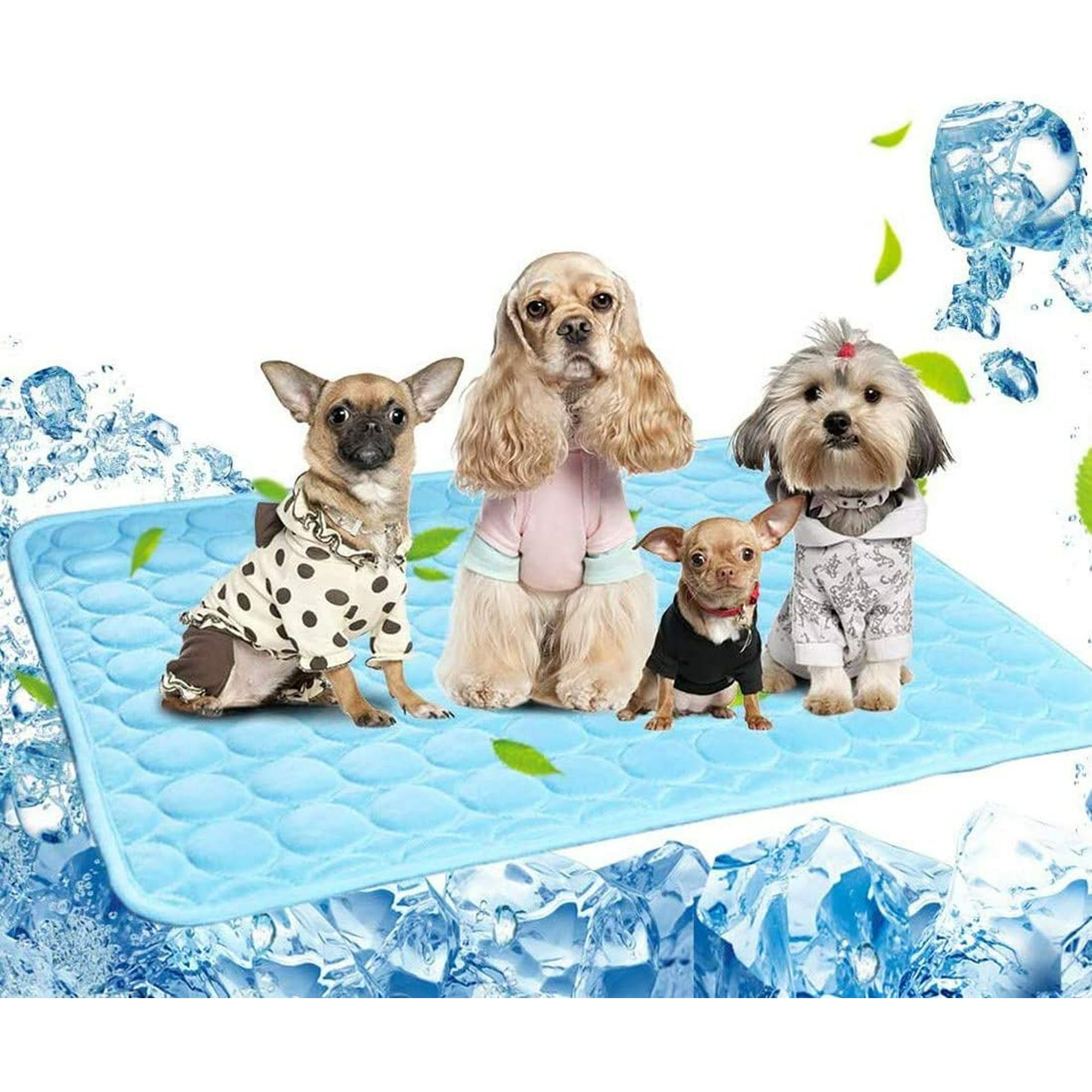 Chillz Cooling Mat for Dogs