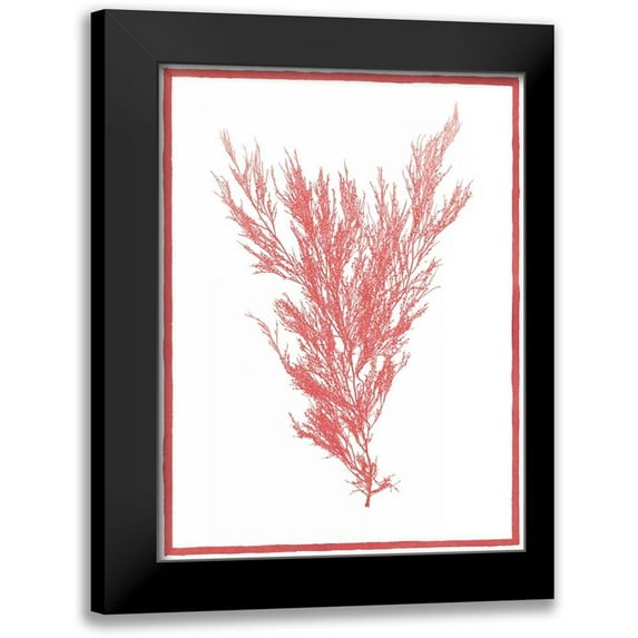 Chilton, Sarah E 19x24 Black Modern Framed Museum Art Print Titled - Sea Things II